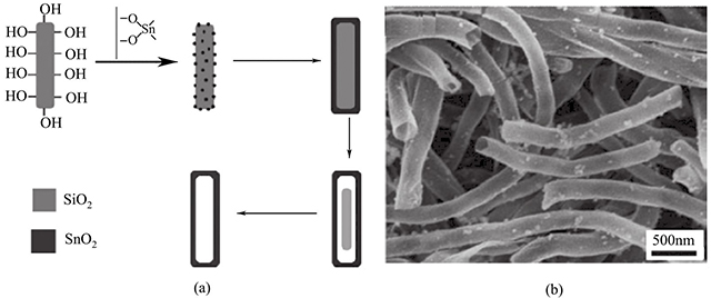 SnO2納米管的形成機理和形貌